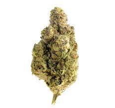 OG Marijuana Strain EU
