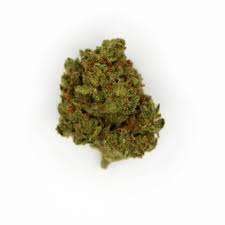 Buy Afghani Weed Strain
