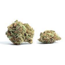 Golden Pineapple Cannabis Strain