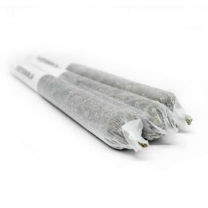 Buy Marijuana Pre Rolls-10 Regular