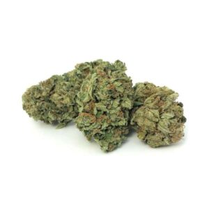 Afghani Bullrider Cannabis Strain