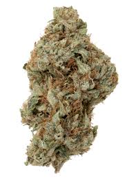 Tangerine Dream Cannabis Strain