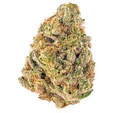 Cheetah Piss Weed Strain