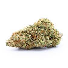 Blissful Wizard Weed Strain EU