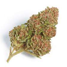 Northern Lights Cannabis Strain
