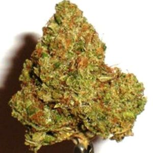 420 Kush Weed Strain