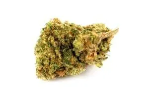 Elmer’s Glue Marijuana Strain