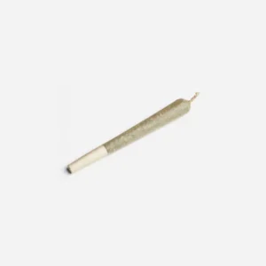 Pre-rolled Platinum Blackberry Indica